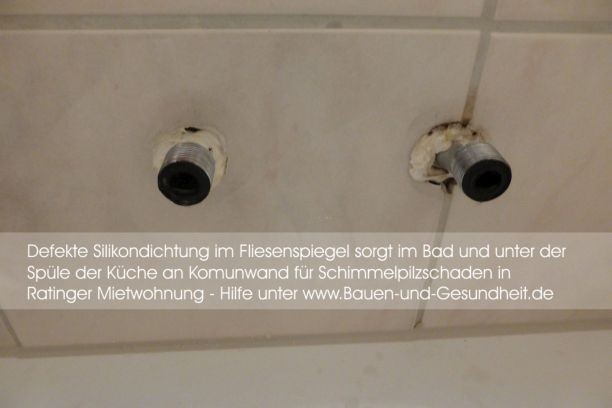 Gebäudeforensik.de