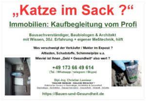 Read more about the article Immobilienkauf: „Katze im Sack ?“ – Kaufbegleitung