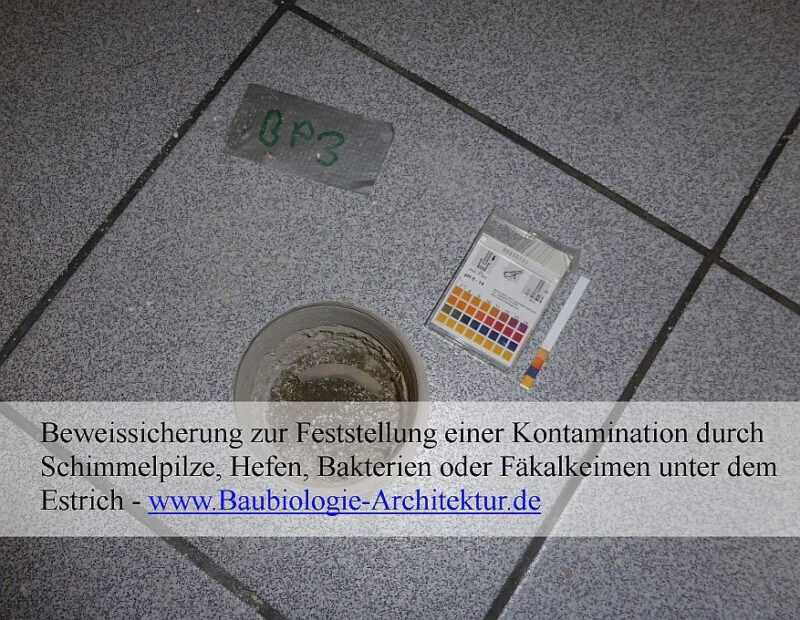 Gebäudeforensik.de