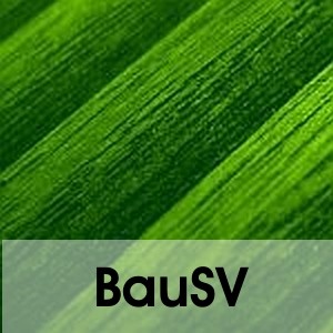 BauSV