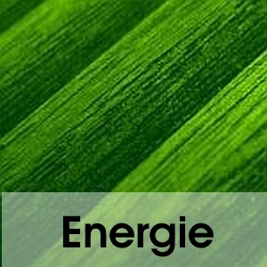 Energie