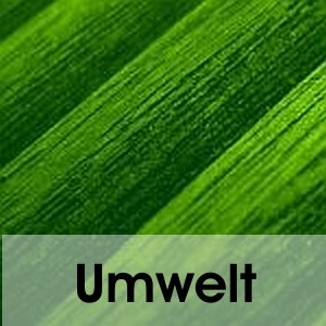 Umwelt